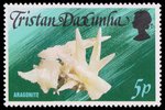 Aragonite (timbre) - Tristan Da Cunha - 1978 -- 13/07/08