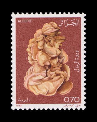 Rose des sables (timbre) - Algérie - 1983 -- 29/06/08